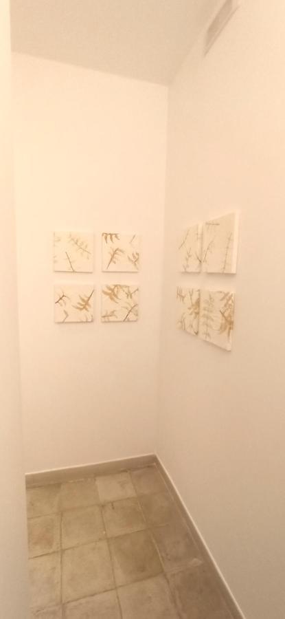 Casa Nella Pietra Viva Appartement Bari Buitenkant foto